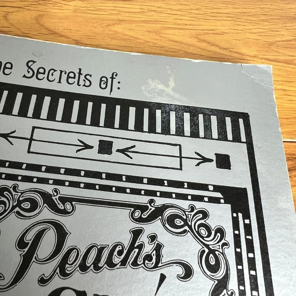 Peach's Cafe Cookbook‎ Vintage 1987 Eureka Springs Arkansas Silver Pink Spiral